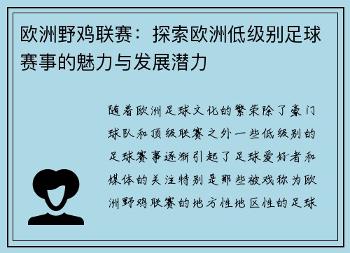 欧洲野鸡联赛：探索欧洲低级别足球赛事的魅力与发展潜力
