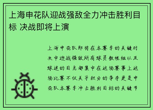 上海申花队迎战强敌全力冲击胜利目标 决战即将上演